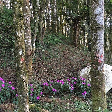 Chales Vila Flor Gonçalves Kültér fotó