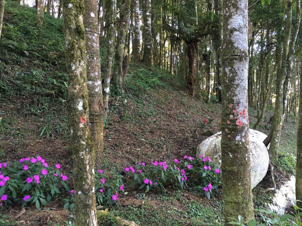 Chales Vila Flor Gonçalves Kültér fotó